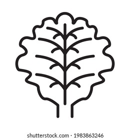iconos de lechuga. símbolo de lechuga elementos vectoriales para web infográfica.