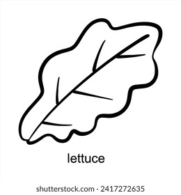 Lettuce Leaf Design - For Coloring Book Blank Fill Black Outline Vector Design 