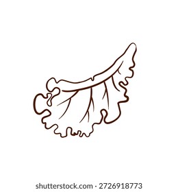 Uma folha de alface, desenhada em estilo de contorno. Essa ilustração vetorial linear simples é incolor e isolada sobre um fundo branco. Adequado para design de menu, logotipos, embalagens, blogs culinários, restaurantes, cafés e projetos de alimentação saudável.