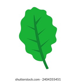 Lettuce leaf in flat style. Vector illustration isolated on white background.