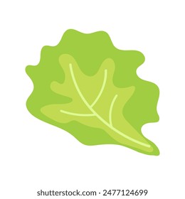 Lettuce leaf. Food. Clipart. Isolated green Lettuce leaf on a white background. Vector illustration. For food design , sticker , banner , logo.