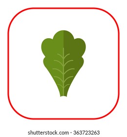 Lettuce leaf icon