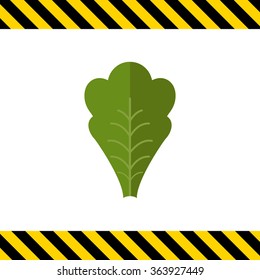 Lettuce leaf icon