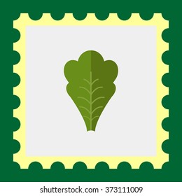 Lettuce leaf icon