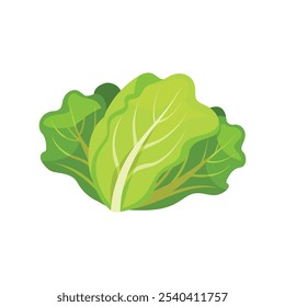 
Lettuce leaf isolated flat vector illustration on white background