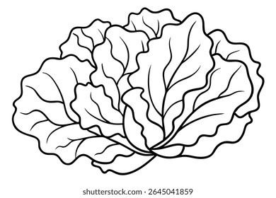 Lettuce Leaf Line Art Simple Drawing for Botanical Artwork Design 