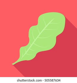 Lettuce leave icon. Flat illustration of lettuce leave vector icon for web