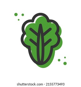 Lettuce leave line icon isolated on white background