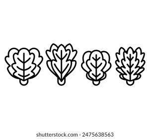 lettuce leave vegetable harvest farm icons vector design simple line black white illustration collection sets