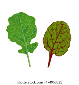 Lettuce leaves