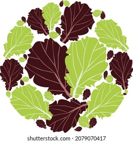 Lettuce leaves in a circle. Vector flat design template. Background of food, farm, gardening or horticulture.