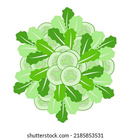 Lettuce leaves, cucumbers on a serving platter. Vector illustration.