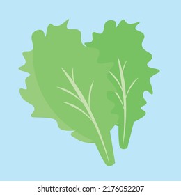 lettuce leaves on blue background