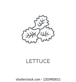 Lettuce linear icon. Lettuce concept stroke symbol design. Thin graphic elements vector illustration, outline pattern on a white background, eps 10.