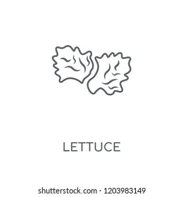 Lettuce linear icon. Lettuce concept stroke symbol design. Thin graphic elements vector illustration, outline pattern on a white background, eps 10.