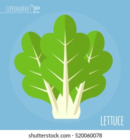 Lettuce.  Long shadow flat design vector icon.