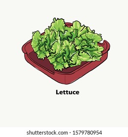 Lettuce on red plate,for Japanese grill, korean grill, thai pan bbq grill. Drawing illustration vector.