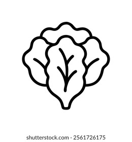 Lettuce Outline Vector Icon on White Background