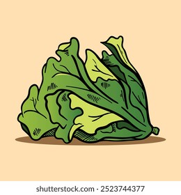 Lechuga en Vector de ilustración vintage retro