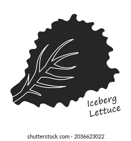 Lettuce and salad black vector of icon.Black vector illustration leaf of lettuce. Isolated illustration leaf of salad icon.