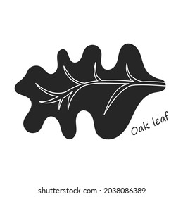 Lettuce and salad black vector of icon.Black vector illustration leaf of lettuce. Isolated illustration leaf of salad icon.