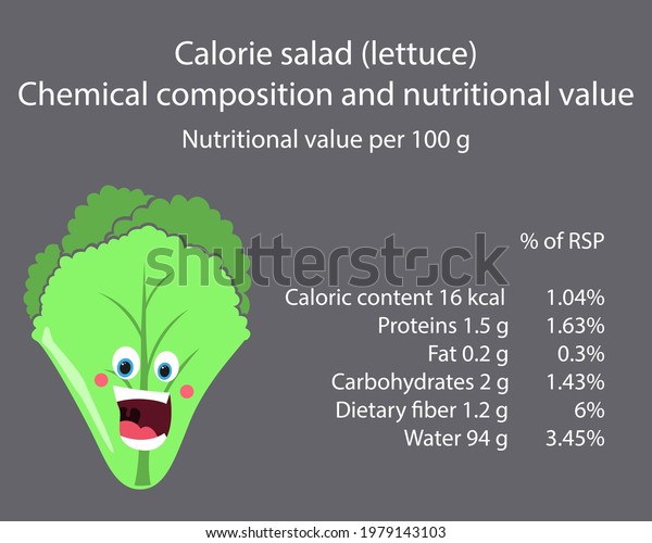 Lettuce Salad Calorie Table Products Chemical Stock Vector (Royalty Free) 1979143103 Shutterstock