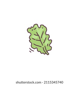 Lettuce salad fresh green leaf icon, hand drawn doodle style vector illustration isolated on white background. Ripe fresh salad plant single leaf. Natural organic food.