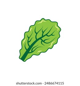 Lettuce salad leaf isolated on white, Vector clipart