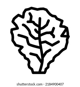 lettuce salad line icon vector. lettuce salad sign. isolated contour symbol black illustration