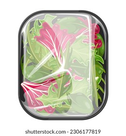 mezcla de ensalada de lechuga en ilustración vectorial de bandeja de plástico. Caricatura vegetal aislada verde y rojo saludable en envase, colección natural de hojas de ensalada orgánica en recipiente con envoltura celofánica transparente