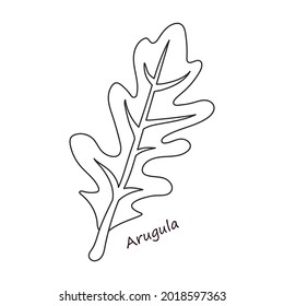 Lettuce and salad outline vector of icon.Outline vector illustration leaf of lettuce. Isolated illustration leaf of salad icon.