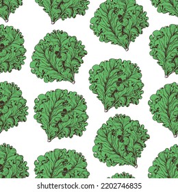 Lettuce seamless pattern. Hand drawn background. Vector illustration. Hand drawing illustration. Lettuce leaf hand drawn backdrop.