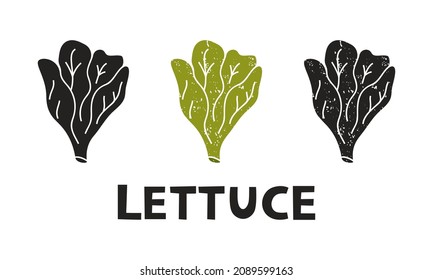 Lettuce, silhouette icons set with lettering. Imitation of stamp, print with scuffs. Simple black shape and color vector illustration. Hand drawn isolated elements on white background