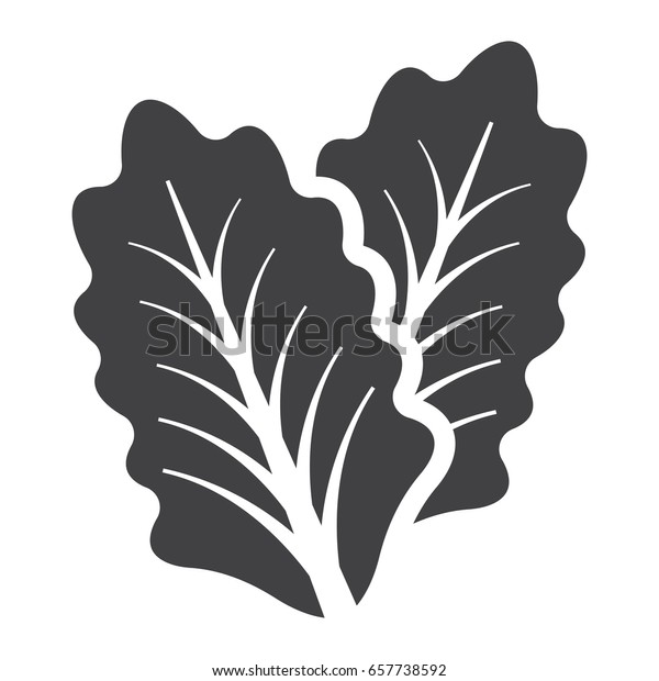 白い背景にレタスのソリッドアイコン 野菜とサラダの葉 ベクター画像 グリフパターン Eps10 のベクター画像素材 ロイヤリティフリー