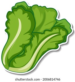 Lettuce sticker on white background illustration