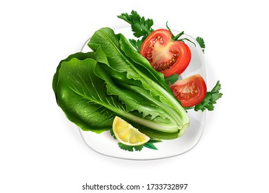 Lettuce, tomato and a lemon slice on a snow-white plate.