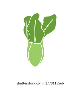 lettuce vector design template illustration