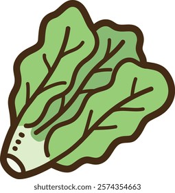 Lettuce vector doodle illustration and graphic