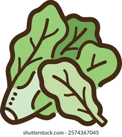 Lettuce vector doodle illustration and graphic