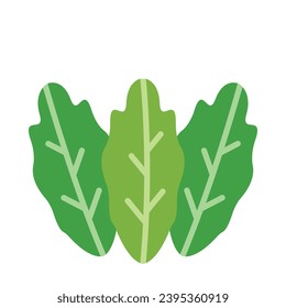 Lettuce Vector Flat Icon For Personal And Commercial Use.
