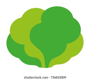 Lettuce vector icon