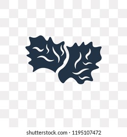 Lettuce vector icon isolated on transparent background, Lettuce transparency concept can be used web and mobile