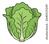 Lettuce vector illustration, simple design