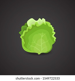 Lettuce, vegetable color vector icon.