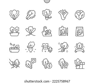 Lettuce vegetable. Cooking, recipes and price. Food shop, supermarket. Menu for cafe. Pixel Perfect Vector Thin Line Icons. Simple Minimal Pictogram