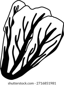 Alface vegetal mono sombra ilustração