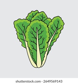 Alface vegetal Simples isolado ilustração cartoon com um fundo claro