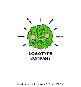 Lettuce vegetable. Vector illustration of a fresh lettuce 