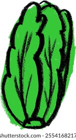 Lettuce Vegetables Crayon Chalk Drawing Colorful Vector