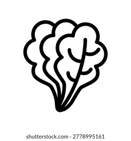 Lettuces Icon Leaf Vegetables Vector
